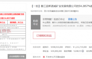 天价锂矿控股权被悔拍后再上拍卖台 盛新锂能拟参与竞买