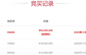 “天价锂矿”拍卖惊现“豪横加钱哥”！单次加价1.82亿元 “宁王”入局变数增多