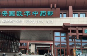 百余品种翻倍上涨！中药行情“数十年难遇”